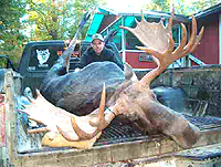 Mark Unger's nice Moose. 1020 lbs (field dressed) bull - 23 points and 60